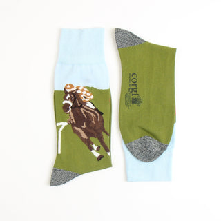 image of the leg and foot sections of the sock