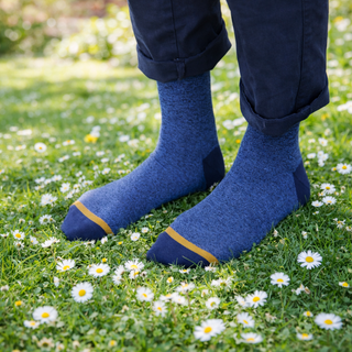 Person wearing blue socks with yellow trim standing on grass with daisies