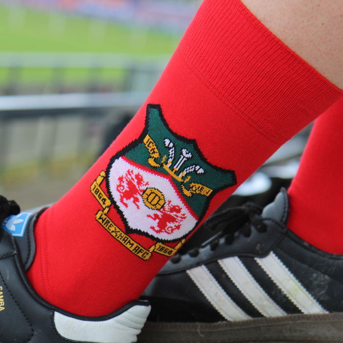 Red sock with a logo worn by a person on a blurred sports field background