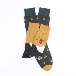 Two pairs of socks with nature-themed designs on a white background
