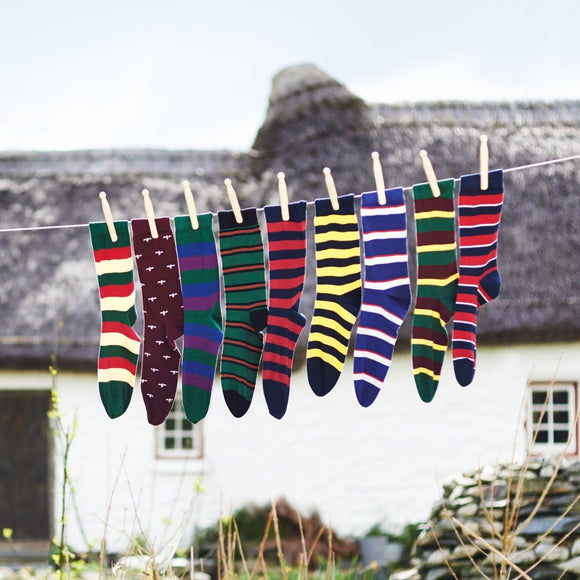 The Regimental Collection - Corgi Socks
