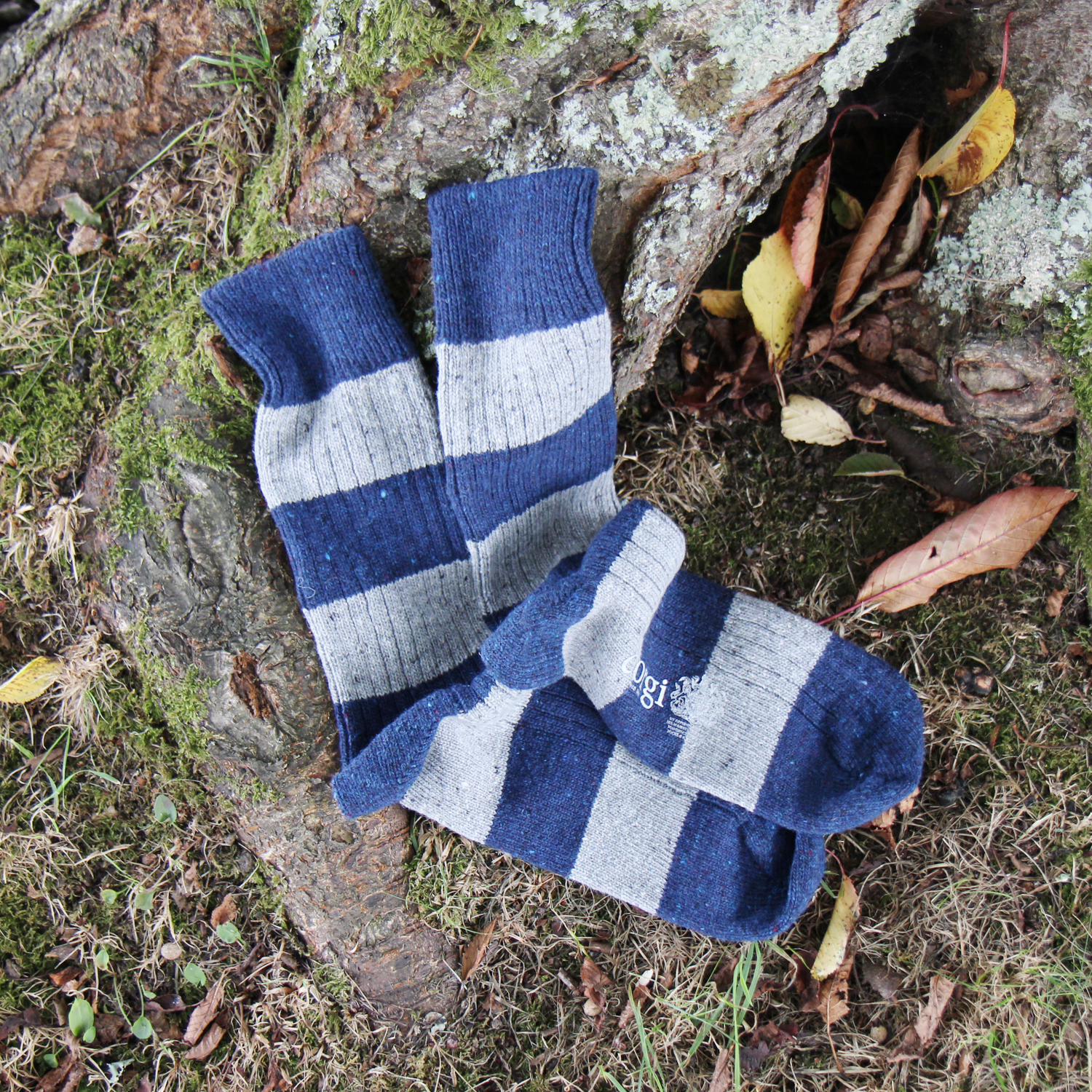 A pair of blue and gray striped knit socks laid on mossy ground beside a tree root, with dry leaves nearby.