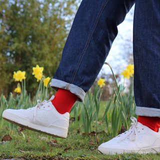 Women's Pembroke Mercerised Cotton Socks