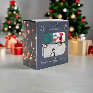 Women's 2-Pair Penguin Gift Box