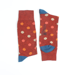 Red polka dot socks with blue heel and toe photographed on a white background