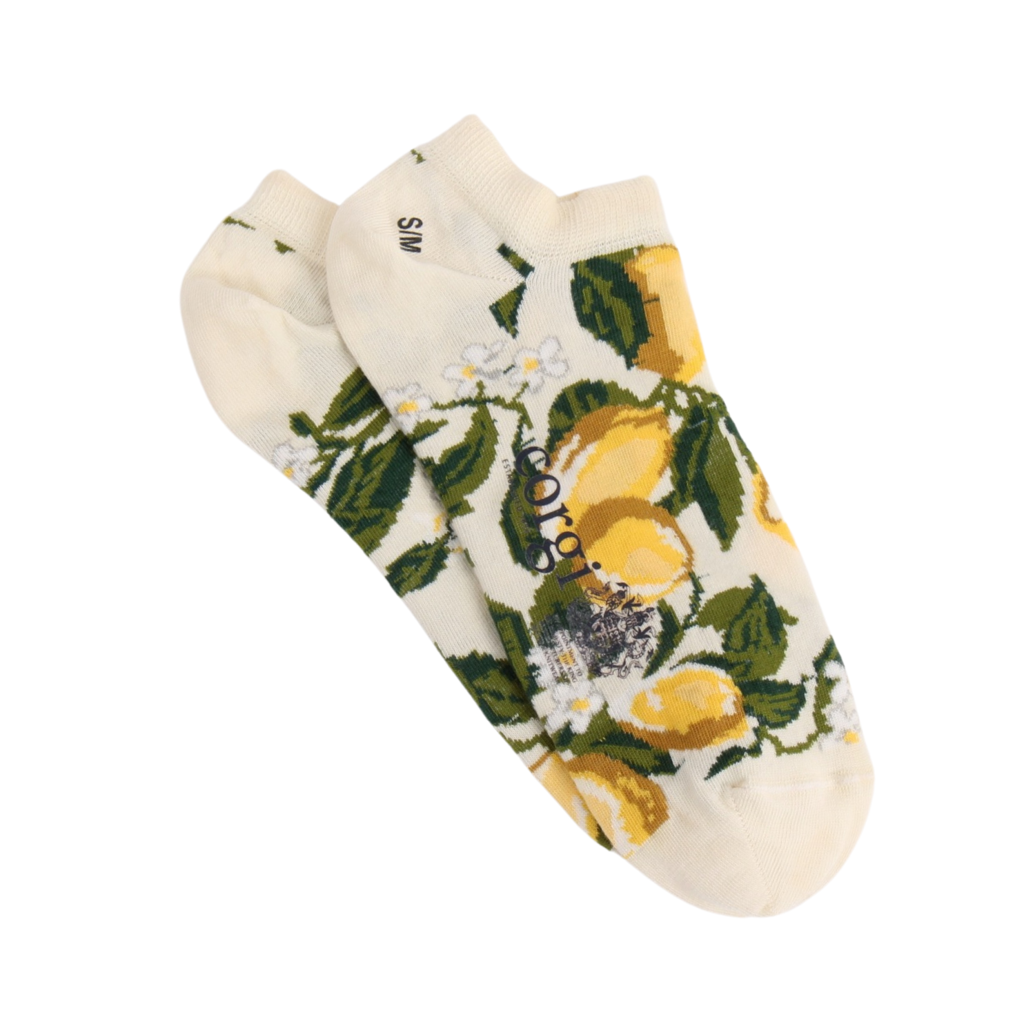Pair of socks with lemon and leaf pattern on a white background