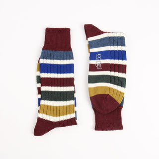 Pair of striped socks with visible brand logo on a white background