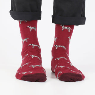 Men's Dalmatian Cotton Socks