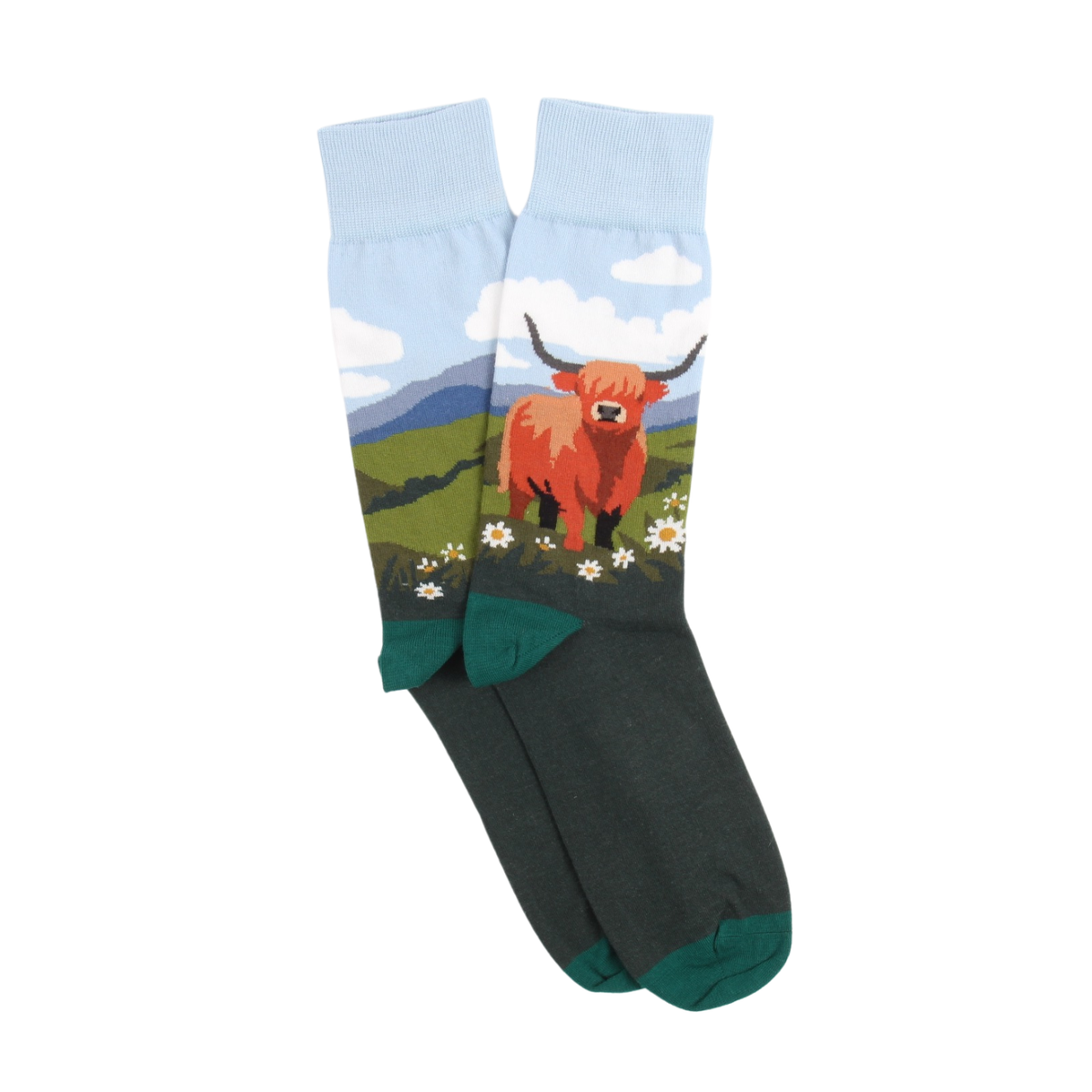 Socks with a highland cow design on a white background