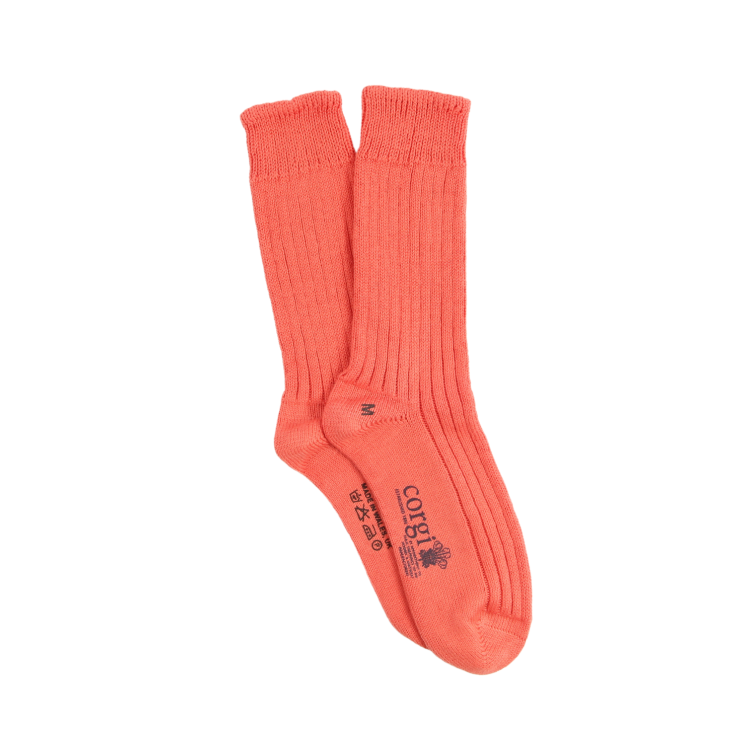 Pair of coral socks on a white background