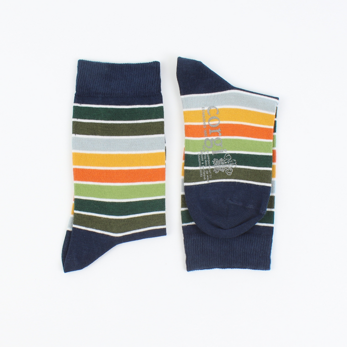 showing the pair of socks in a multi colour stripe with a fine white line between each stripe 
