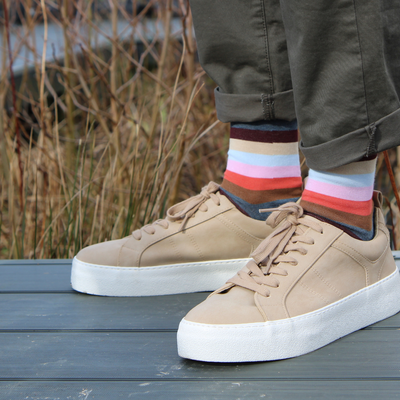 Men's Signature Stripe Cotton Socks