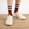 Men's Sport Stripe Quarter Cotton Socks