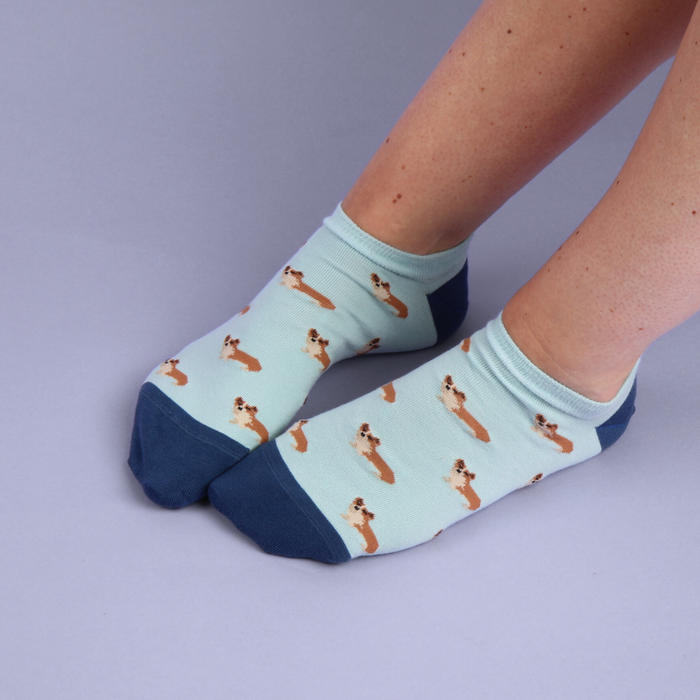 Women's Corgi Dog Cotton Trainer Socks