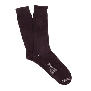 Pair of dark brown socks on a white background