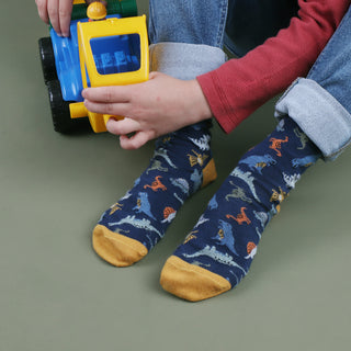 Kids Dinosaur Cotton Socks