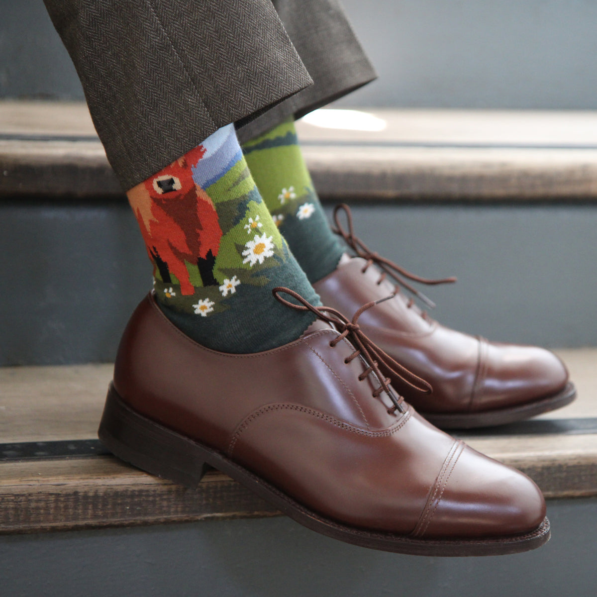 A close-up of a person's legs wearing brown leather cap-toe oxford shoes and patterned crew socks with a red cow and daisy design, standing on wooden steps.