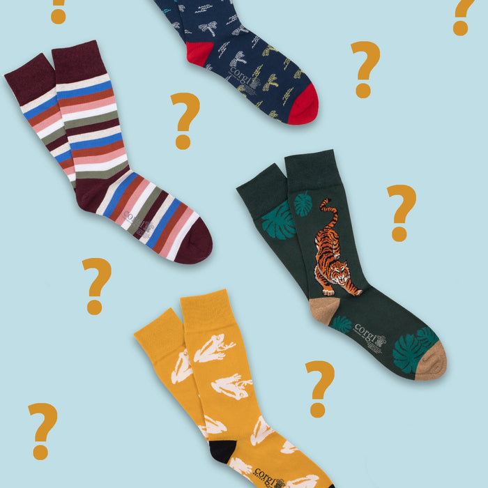 Men's Assorted 4-Pack Cotton Socks - Corgi Socks