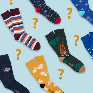 Men's Assorted 7-Pack Cotton Socks - Corgi Socks