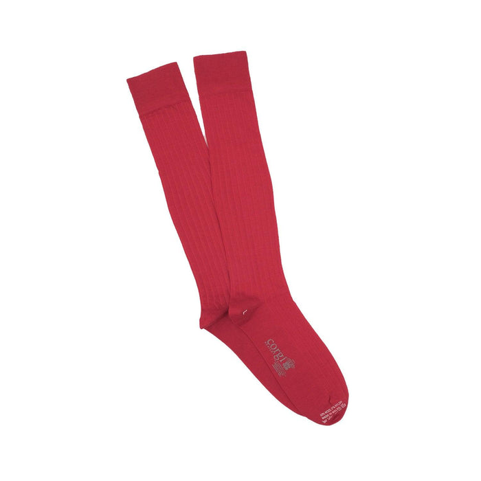 Men's Over the Calf Rib Merino Wool Socks - Corgi Socks