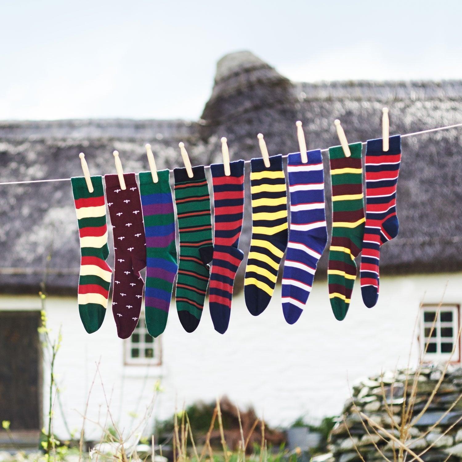 Queen's Dragoon Guards Regimental Cotton Socks - Corgi Socks