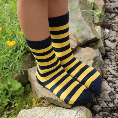Navy and yellow striped socks worn by a child standing on rocks with greenery in the background