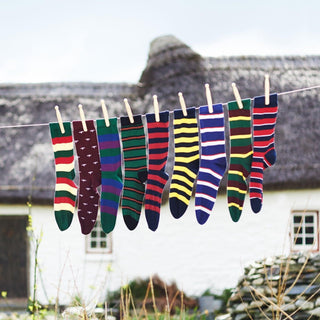 Welsh Guards Regimental Cotton Socks - Corgi Socks