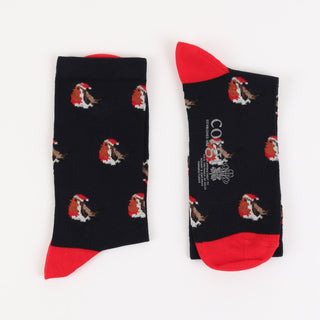 Women's Festive Robin Cotton Socks